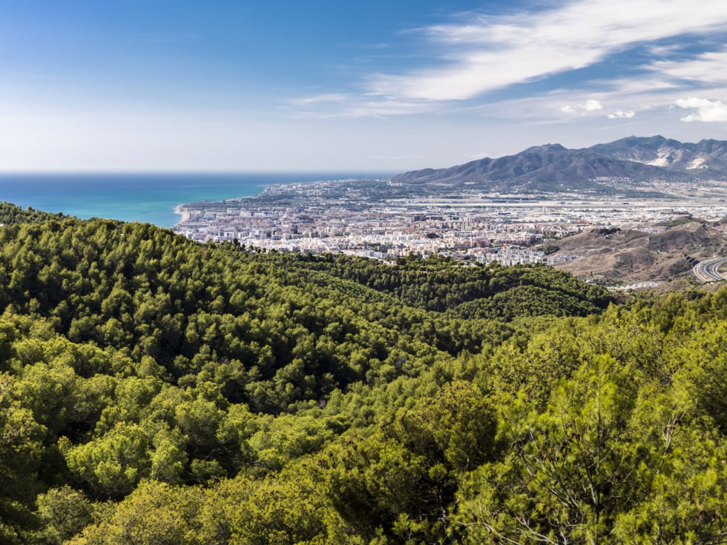 Panoramablick über Malaga mit Wald und Meer