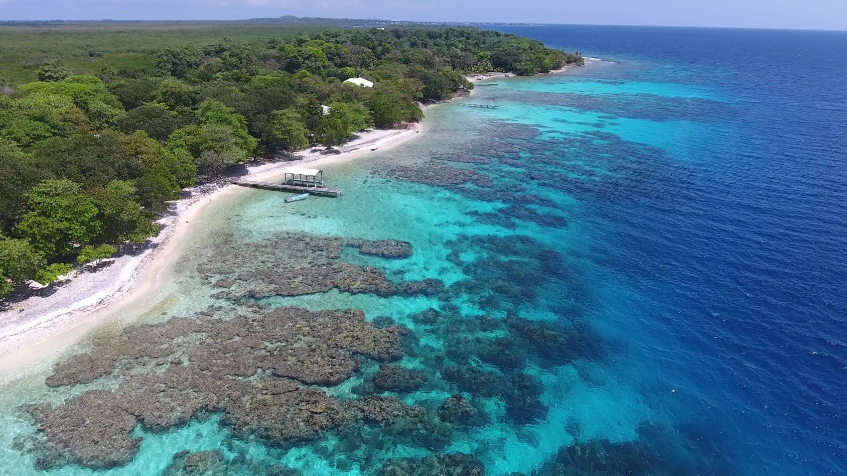 Riff vor Küste in Utila/Honduras
