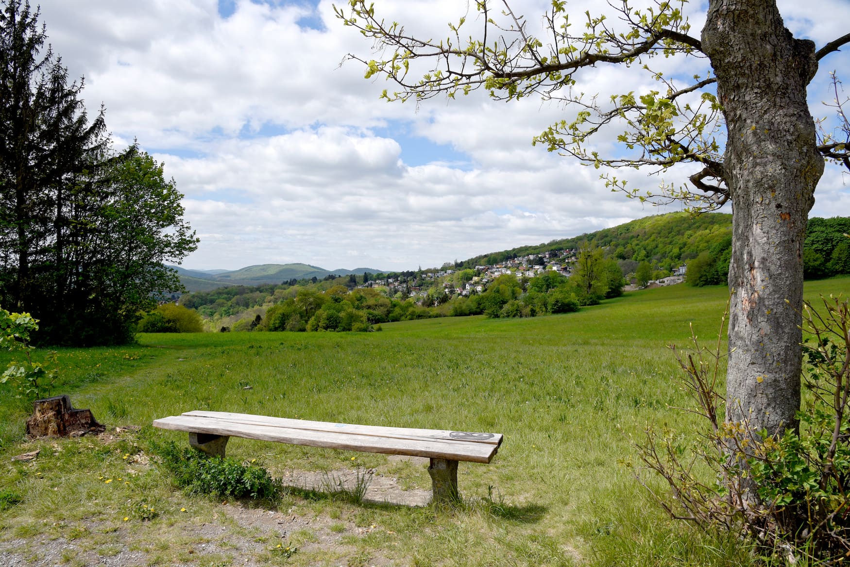Bank im Dehnepark