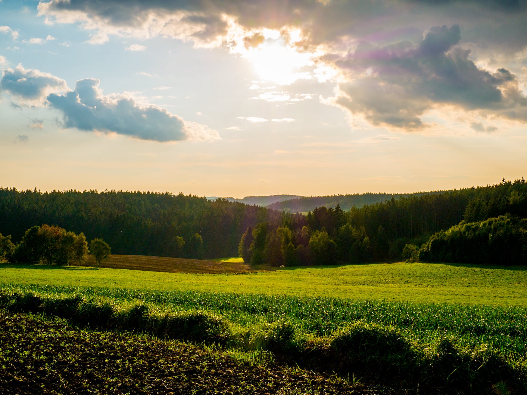 Landschaft im Frankenwald