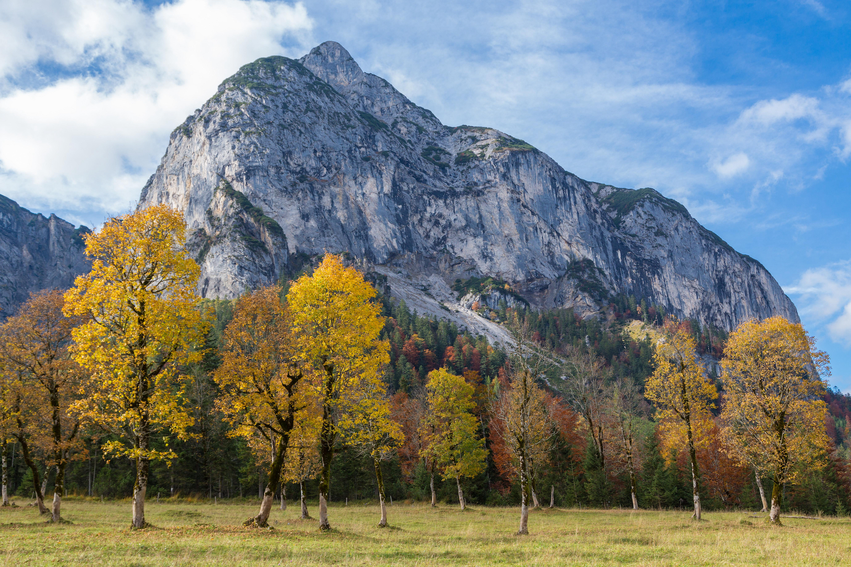 Natur im Karwendel in Österreich