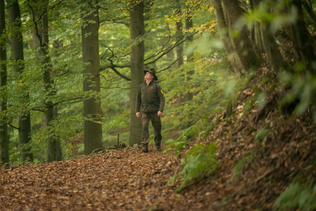 Ranger Hermann Bieber im Spessart