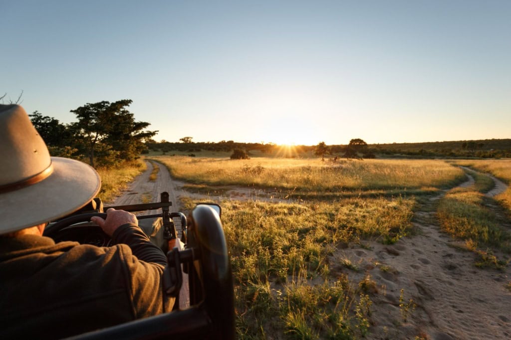 Safaritour im Sabi Sands Reservat in Südafrika