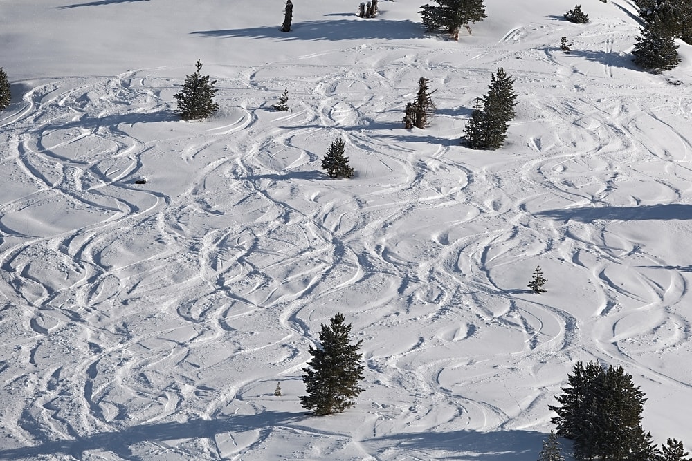 Vorsicht vor Bäumen auf der Piste beim Rodeln