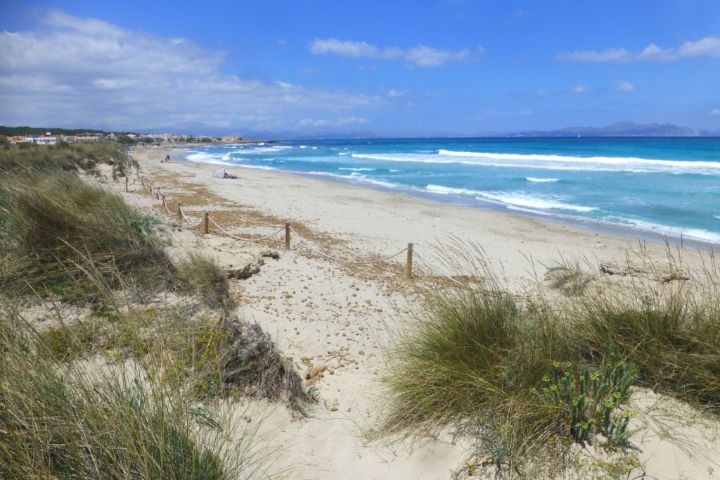 Strand Son Serra de Marina Mallorca