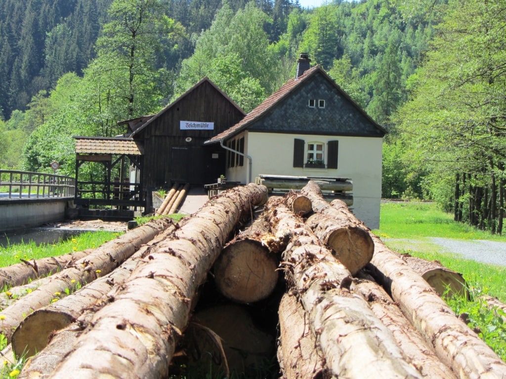 Baumstämme vor Teichmühle