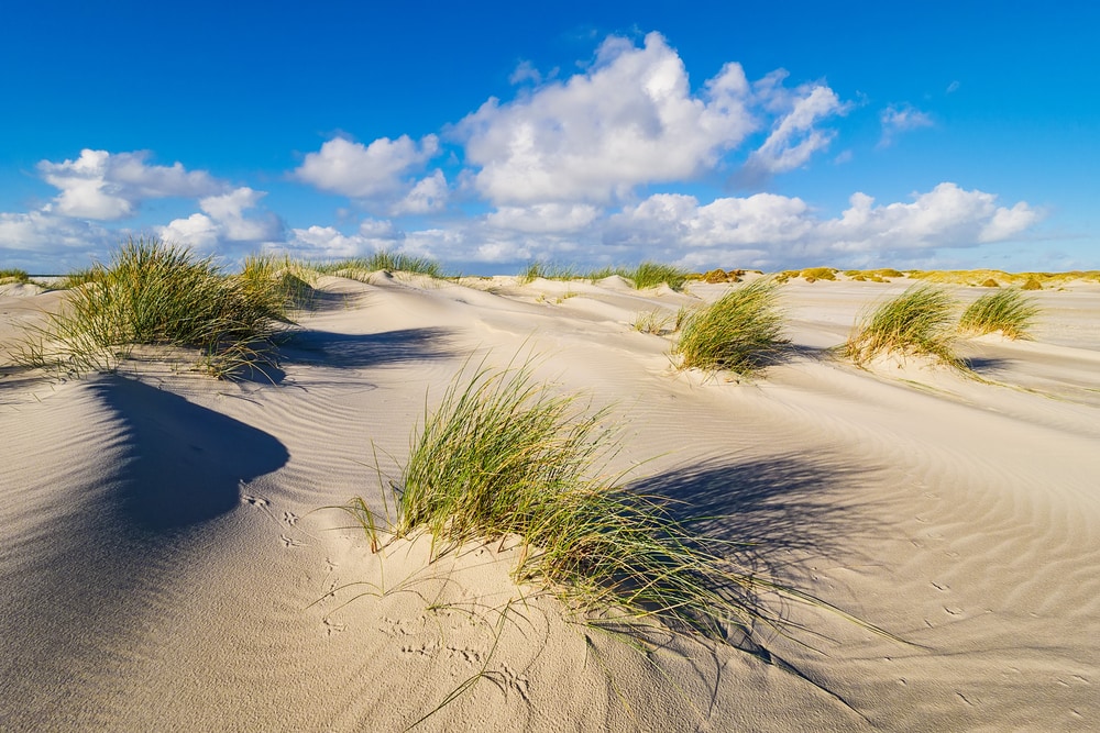 Deutschlands schönste Strände: Amrum