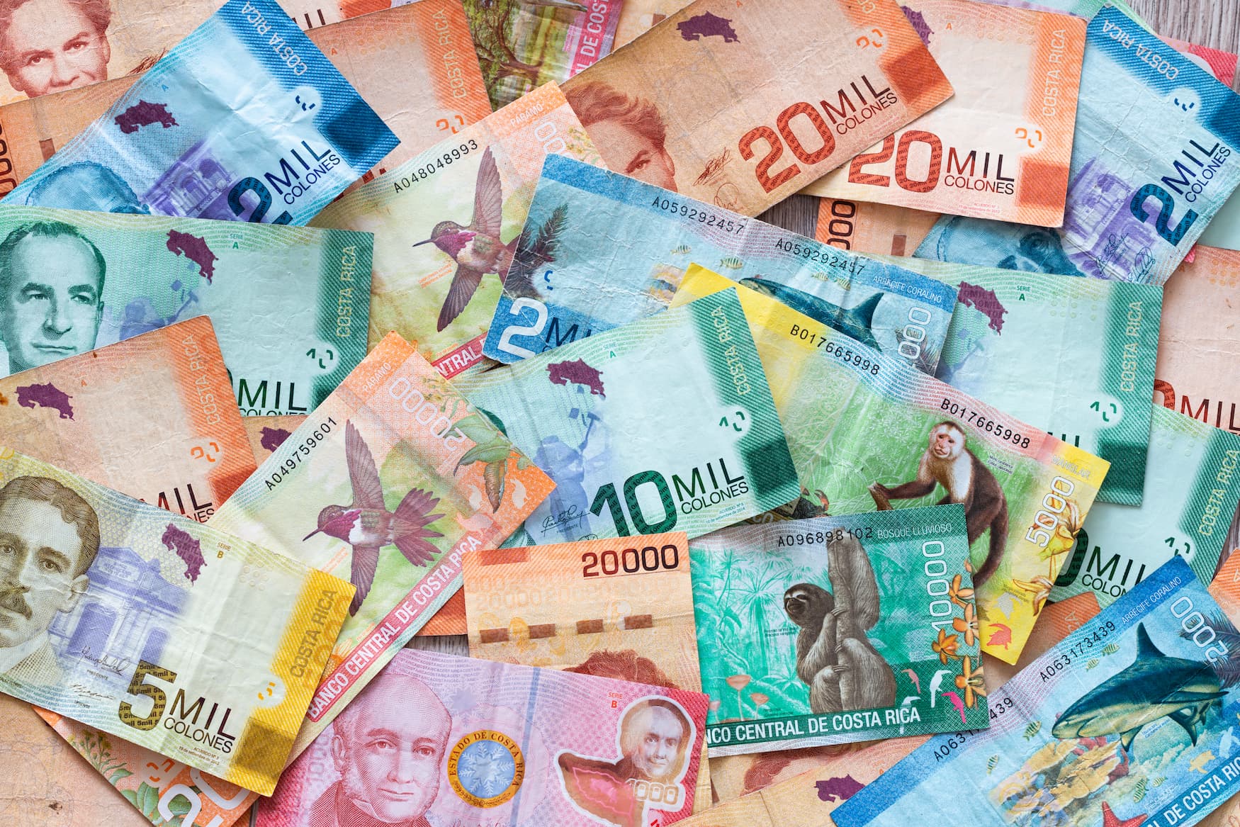 Bunte Geldscheine aus Costa Rica