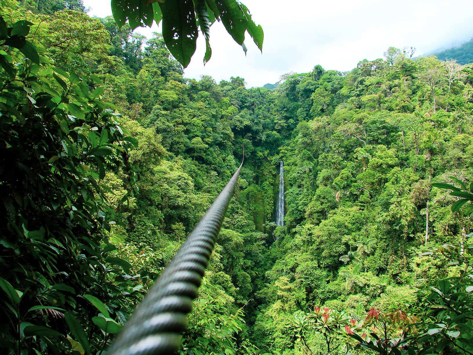 Ziplining in den Nebelwäldern von Monteverde, Costa Rica