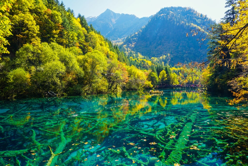 Five Flower Lake in China