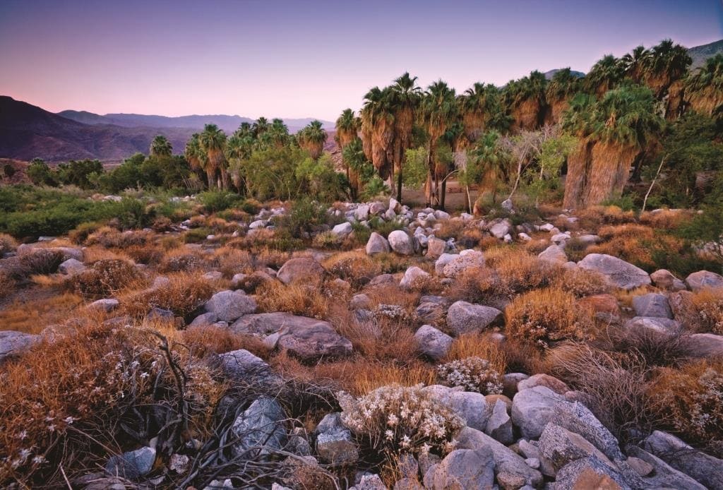 Indian Canyons in Palm Springs