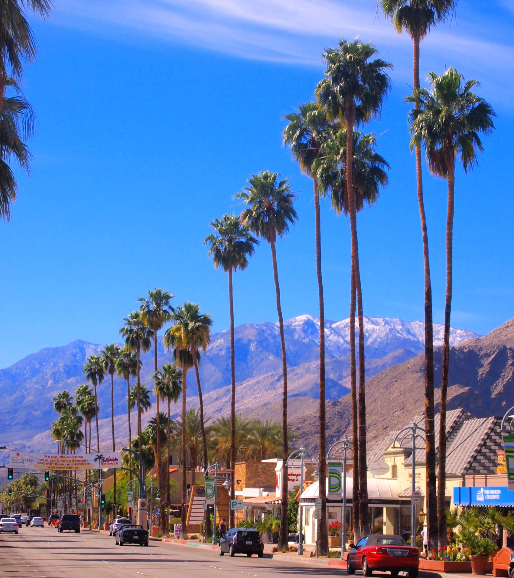Canyon Drive,Palm Springs