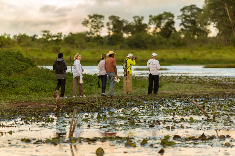 Ökotourismus in Brasilien: Besucher im Pantanal