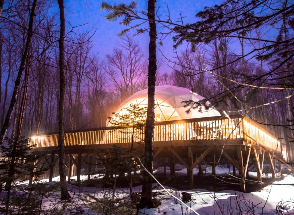 Treetop Haven