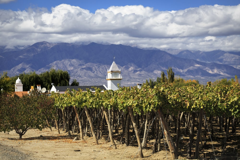 Weinanbaugebiet in Salta