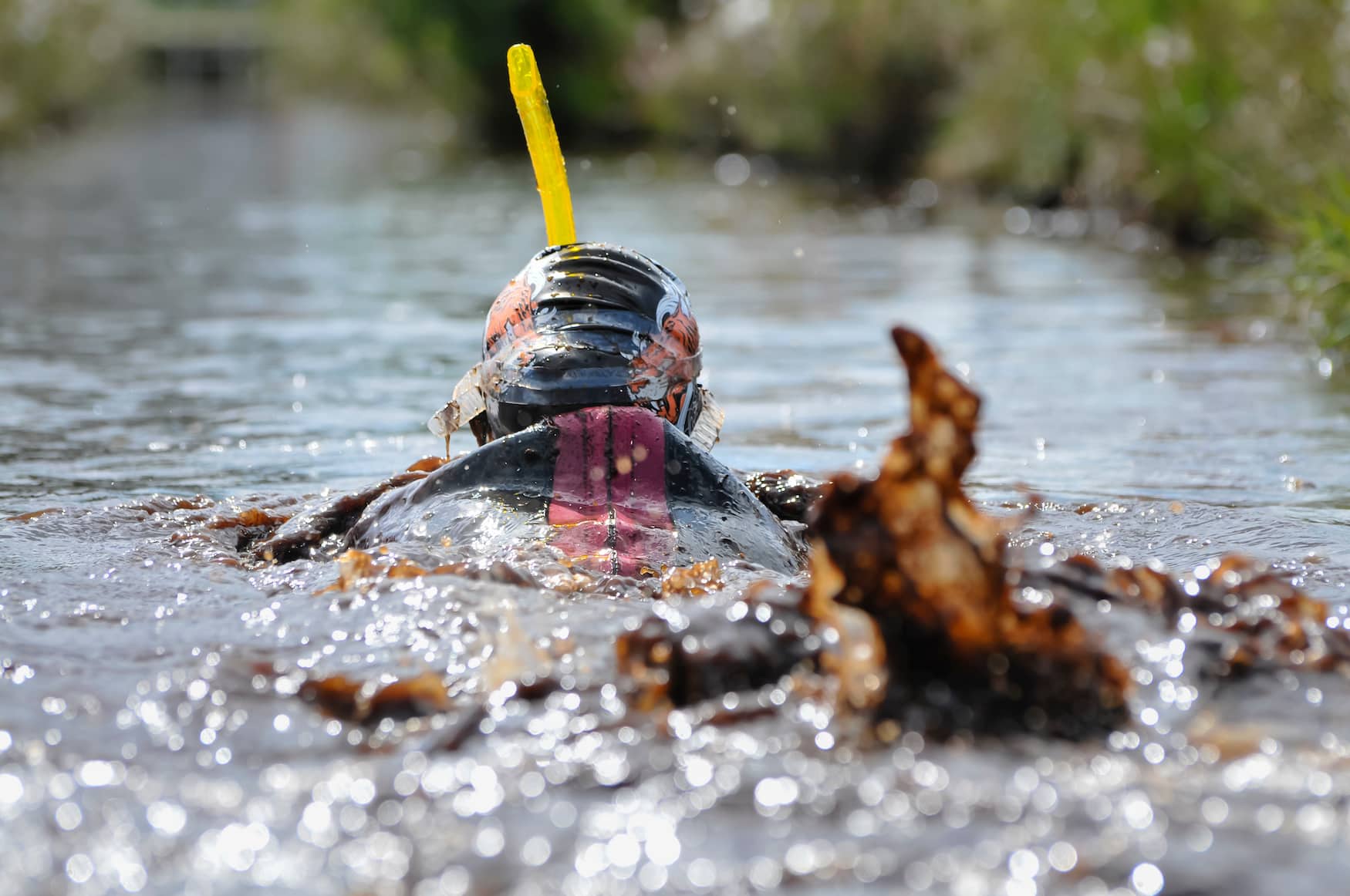 Bog Snorkeling Weltmeisterschaft in Wales