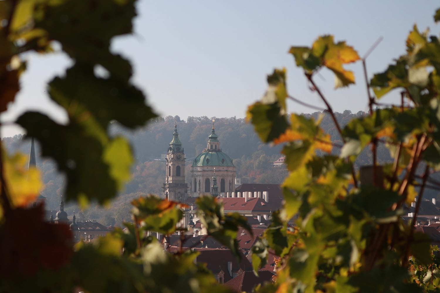 Die Spitzen der Prager Burg ragen aus Baumkrone hervor