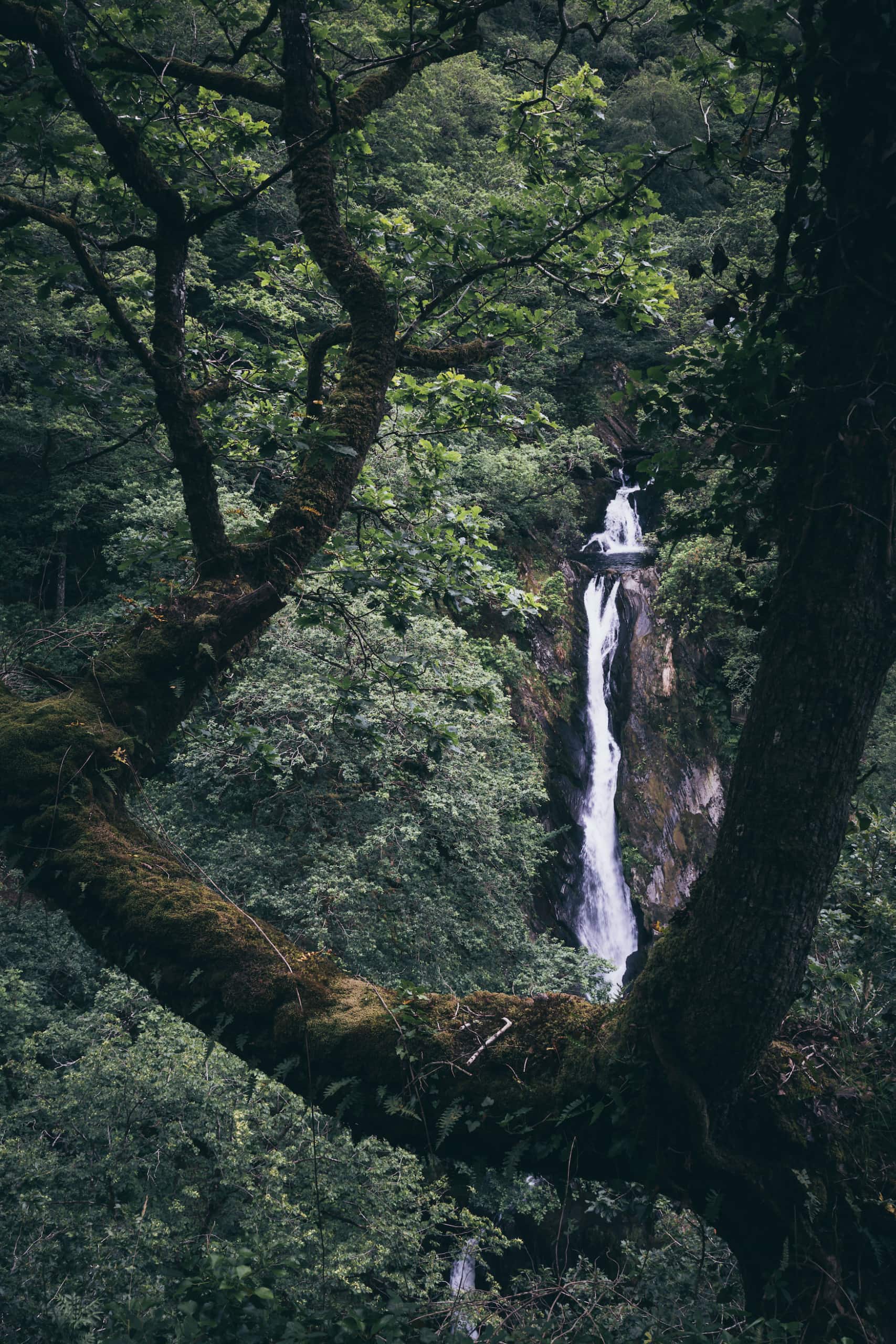 Wasserfall Pontarfynach in Wales