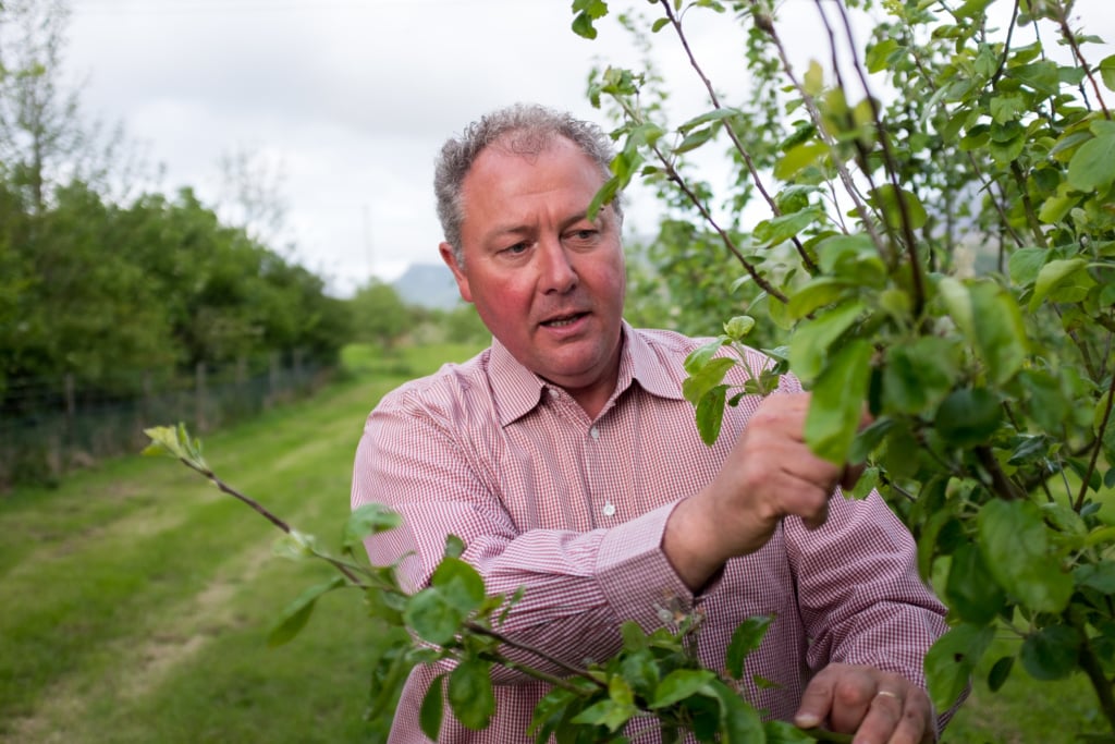 Richard Huws auf seinem Weingut in Wales