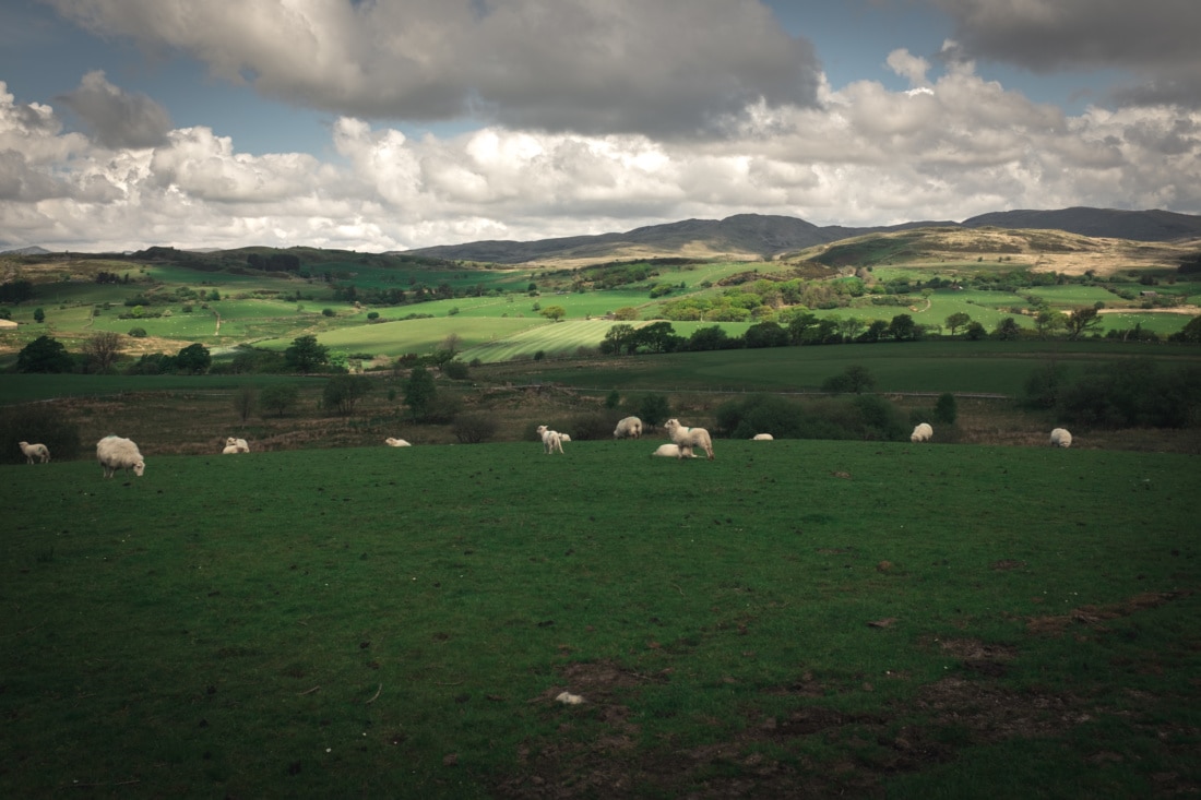 Trawsfynydd
