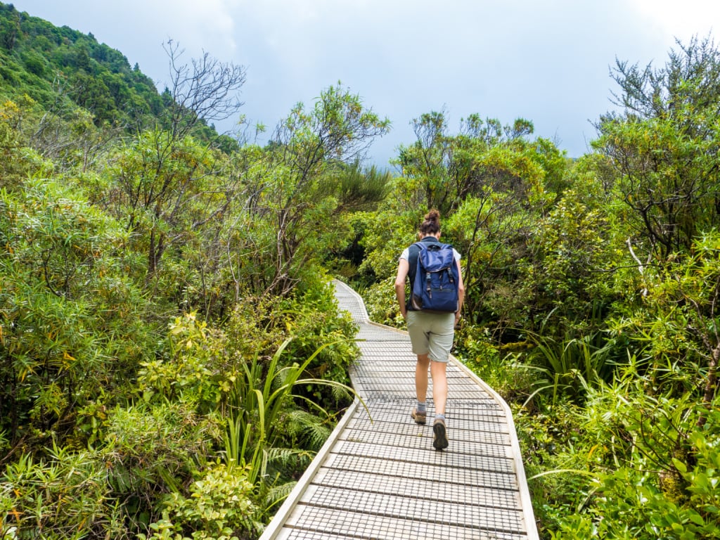 Wanderung am Mount Taranaki