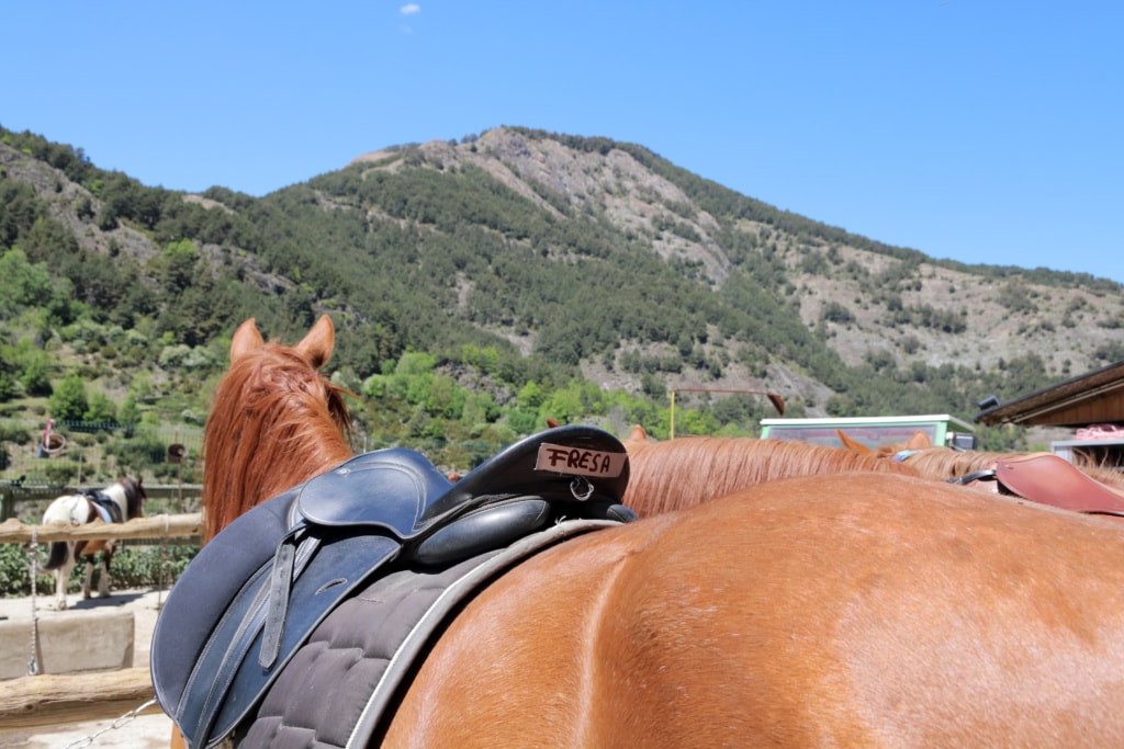 Pferd in Andorra