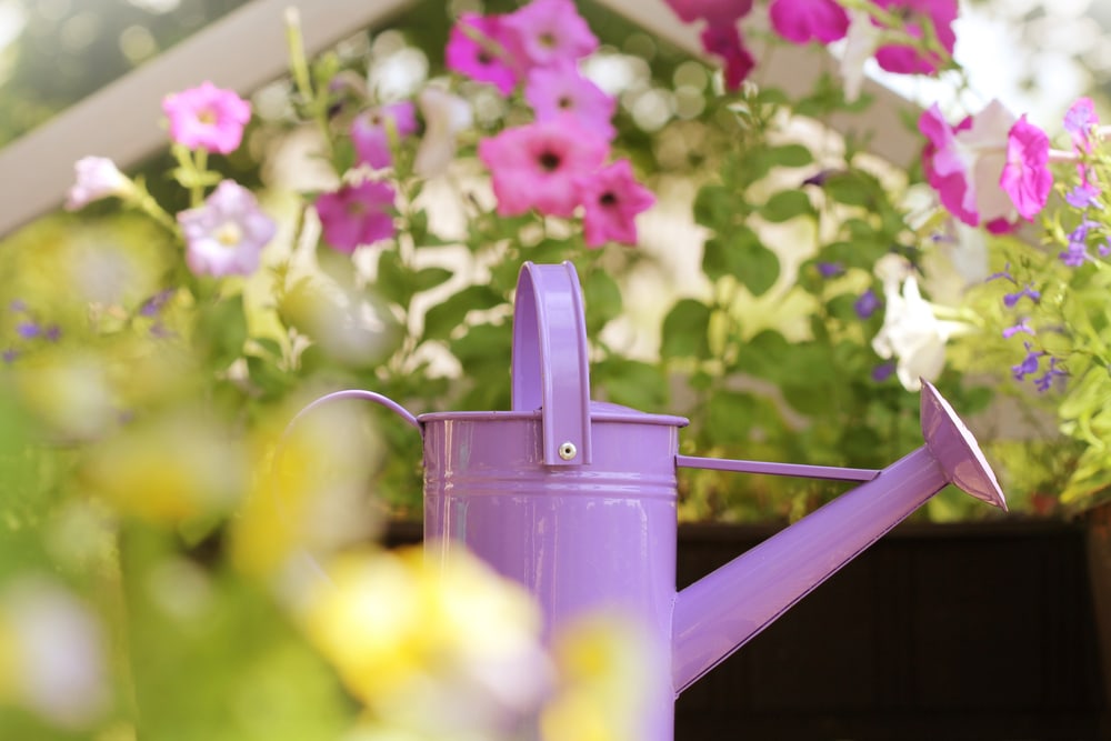 Gießkanne auf Balkon, im Hintergrund Blumen