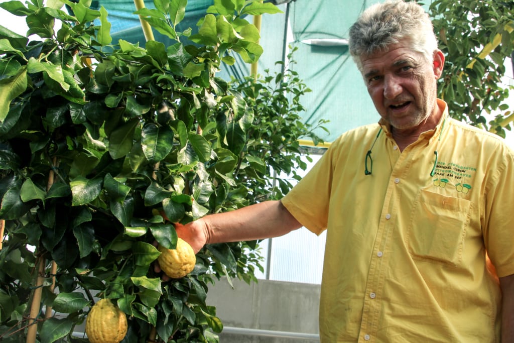 Gärtnermeister Michael Ceron in Faak