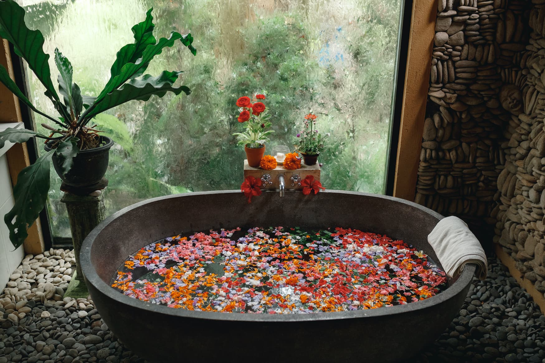 Rote Blüten schwimmen auf Wasseroberfläche einer Badewanne