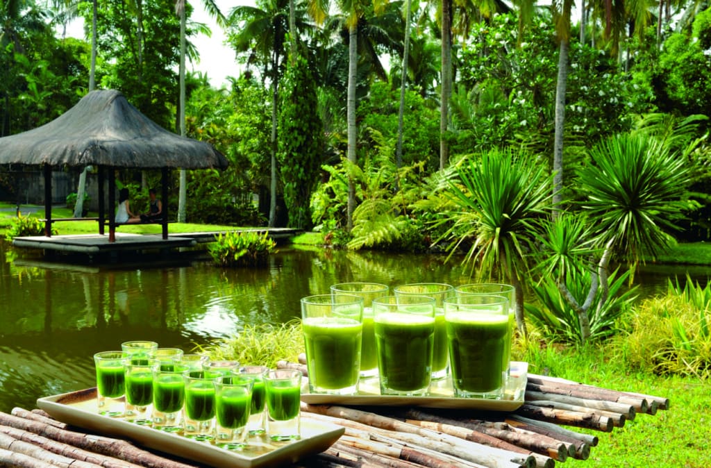 VeggieHotels: The Farm at San Benito