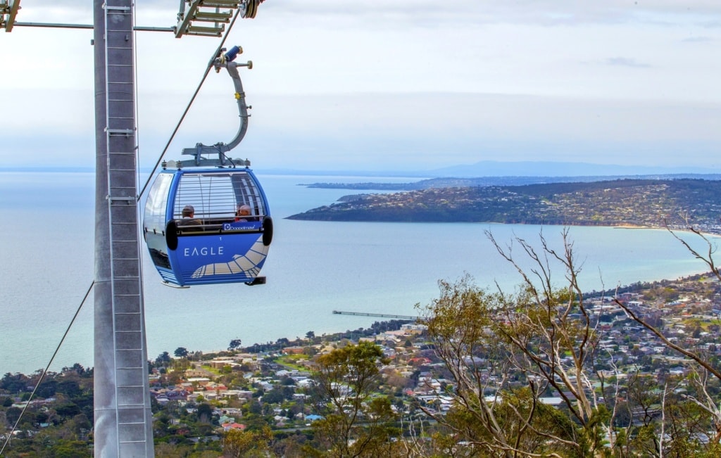 Die blaue Kabine einer Seilbahn mit Aufschrift "Eagle" fährt an einem Seil einen Hang hinauf. Dahinter ist im Tal eine Bucht zu erkennen, um die sich eine Stadt schmiegt.