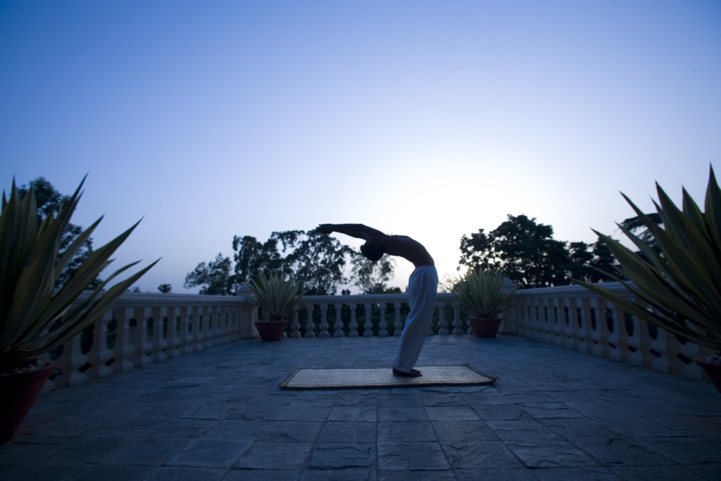 Yoga im Ananda in the Himalayas