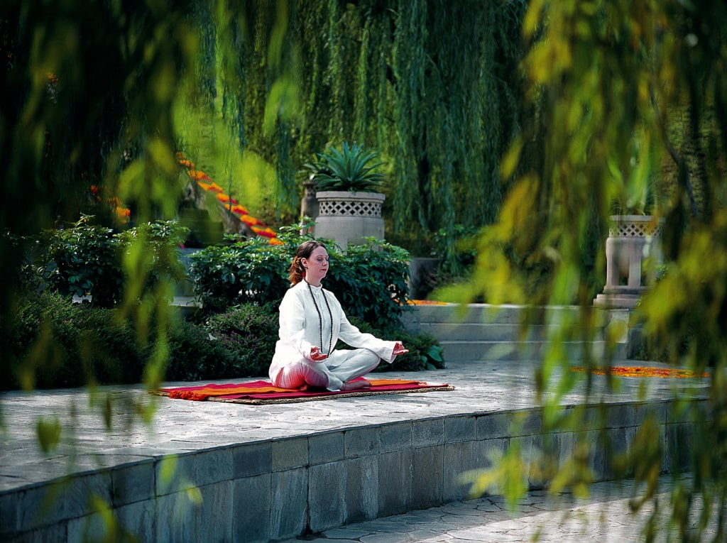 Ananda in the Himalayas