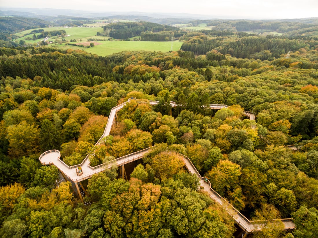 Blick auf den Baumwipfelpfad Panarbora in Waldbröl