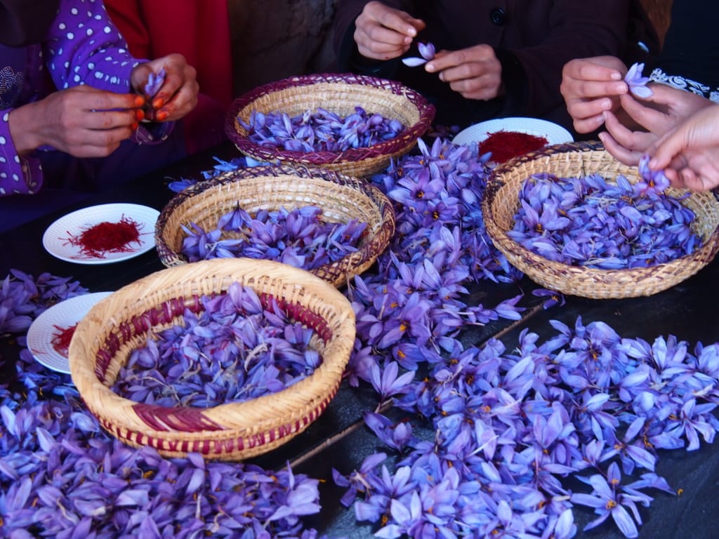 Pardis du Safran - Safranplantage in Marrakesch von Christine Ferrari