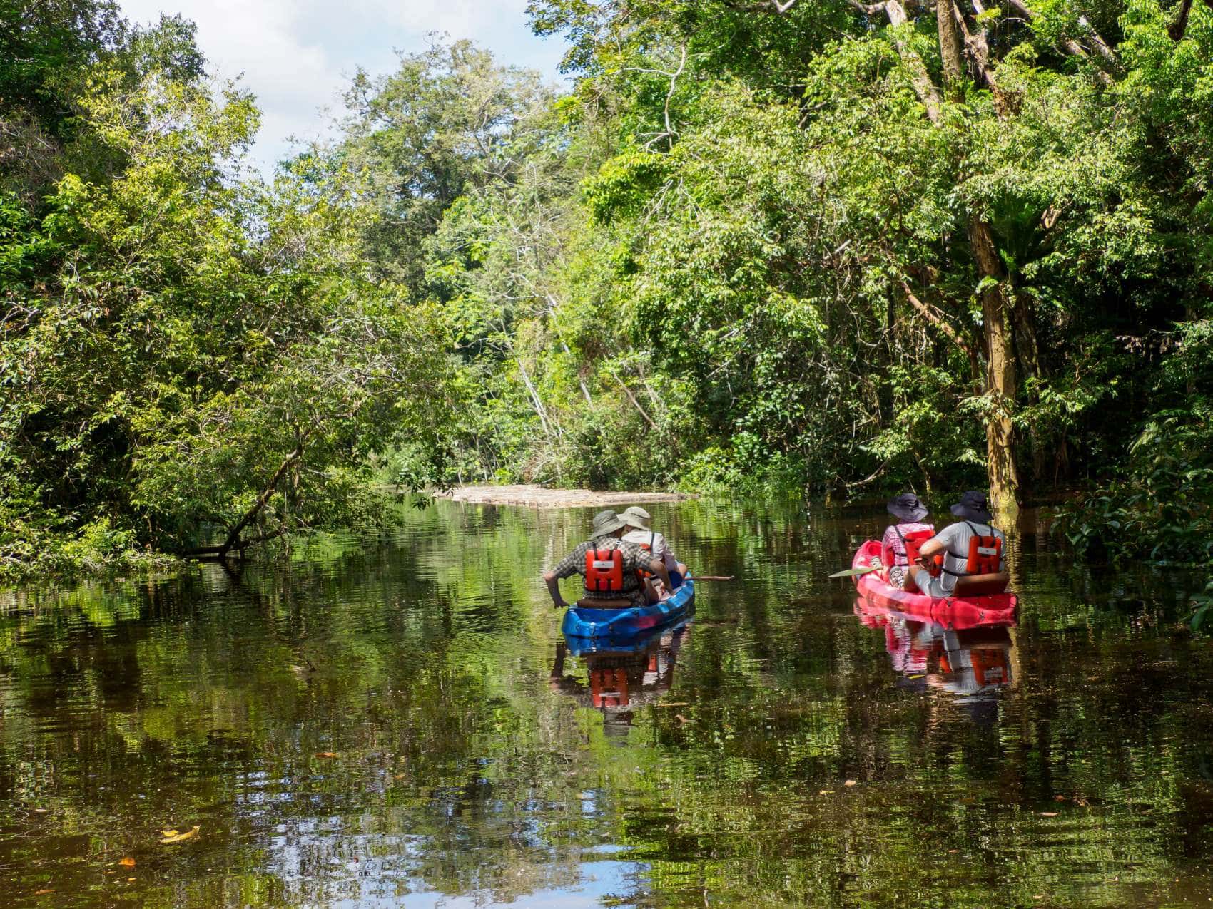 Touristen im Kanu im Pacaya Samiria