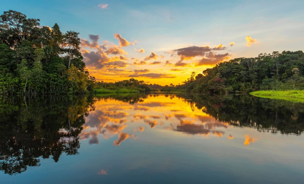 Fluss im Regenwald in Peru