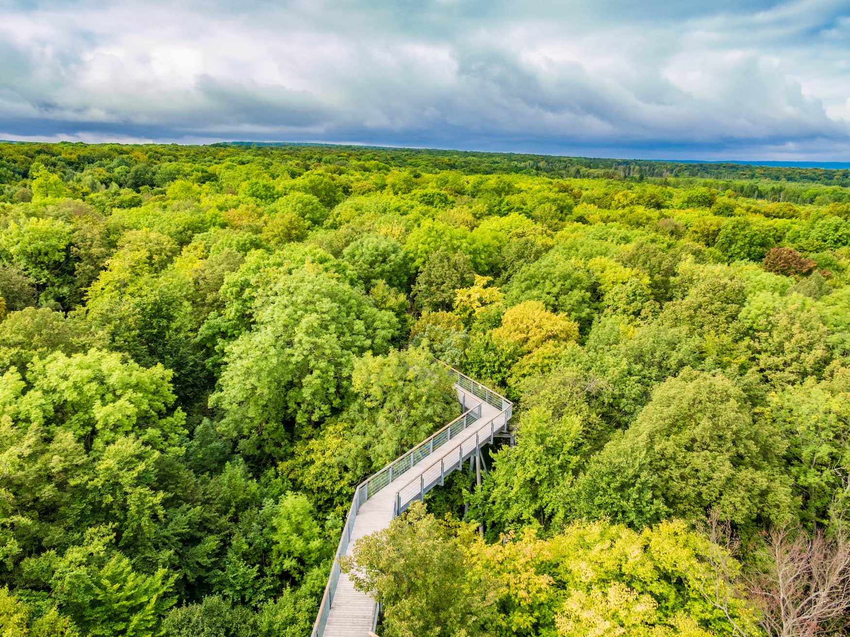 Baumwipfelpfad im Nationalpark Hainich