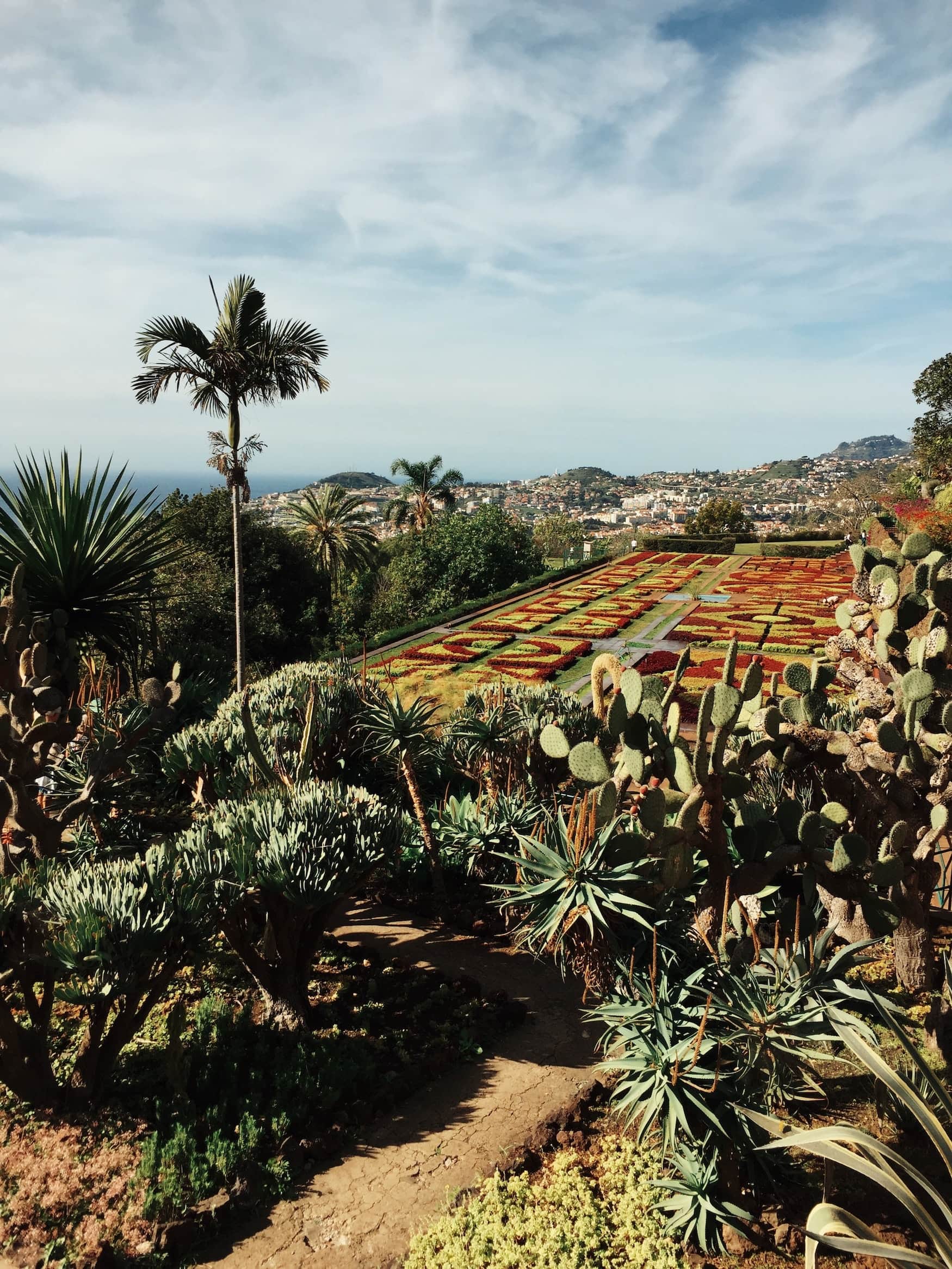 Blick über einen schönen Garten nach Funchal auf Madeira