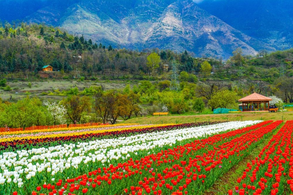 kashmir tal - stadt srina - indien-Erlebnisse