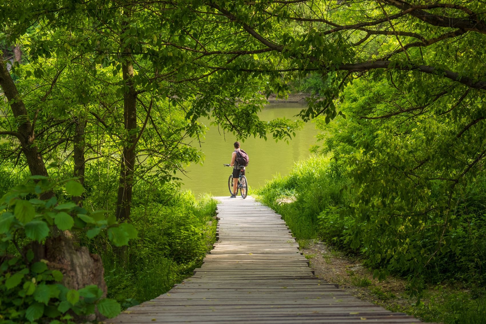 Fahrradfahrer in Bratislava am See 