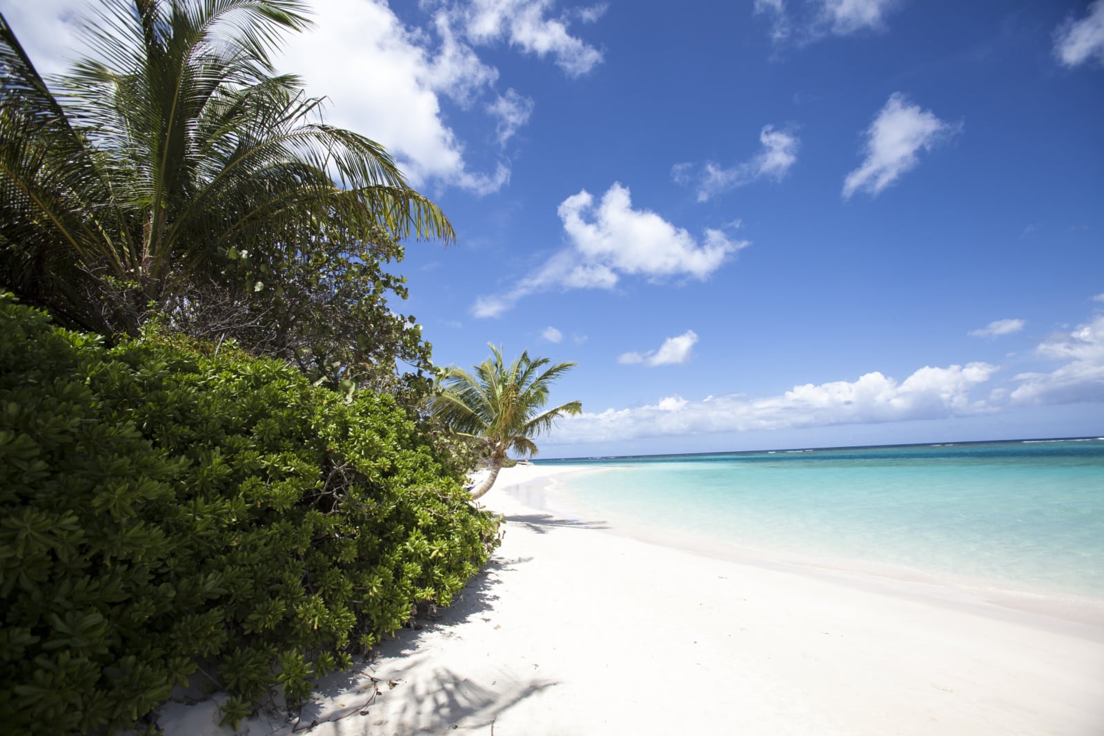 Schönste Strände Puerto Ricos: Flamenco Beach