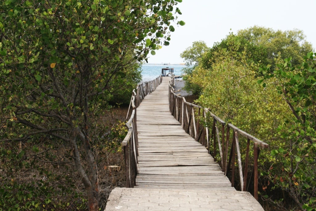 Bali gilt als die Selbstfindungsinsel - leider achten nicht alle bei ihrer Findung auf die Insel selbst.