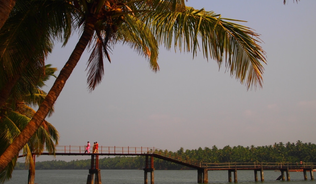 Backwaters in Kerala