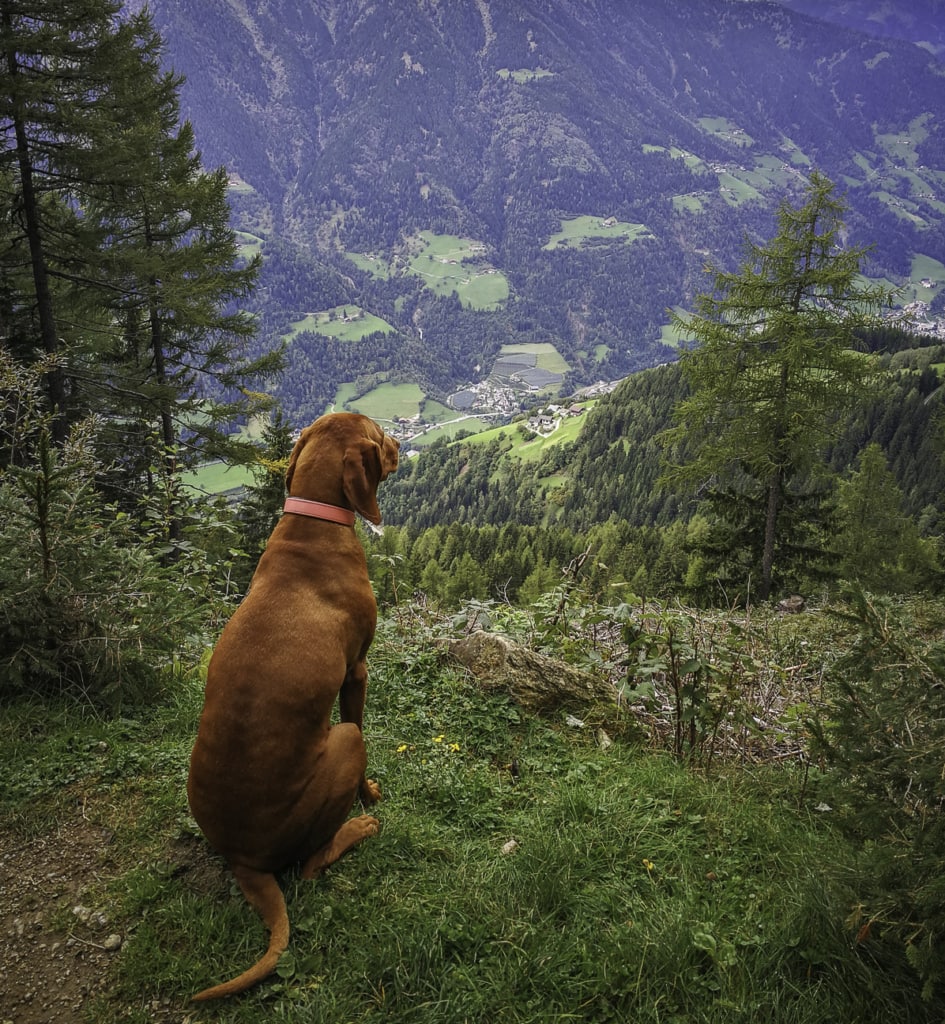 Die Gompm Alm, engagiert betrieben von Inhaber Helmuth Gufler, liegt im Hirzer-Wanderparadies auf 1.800 m.