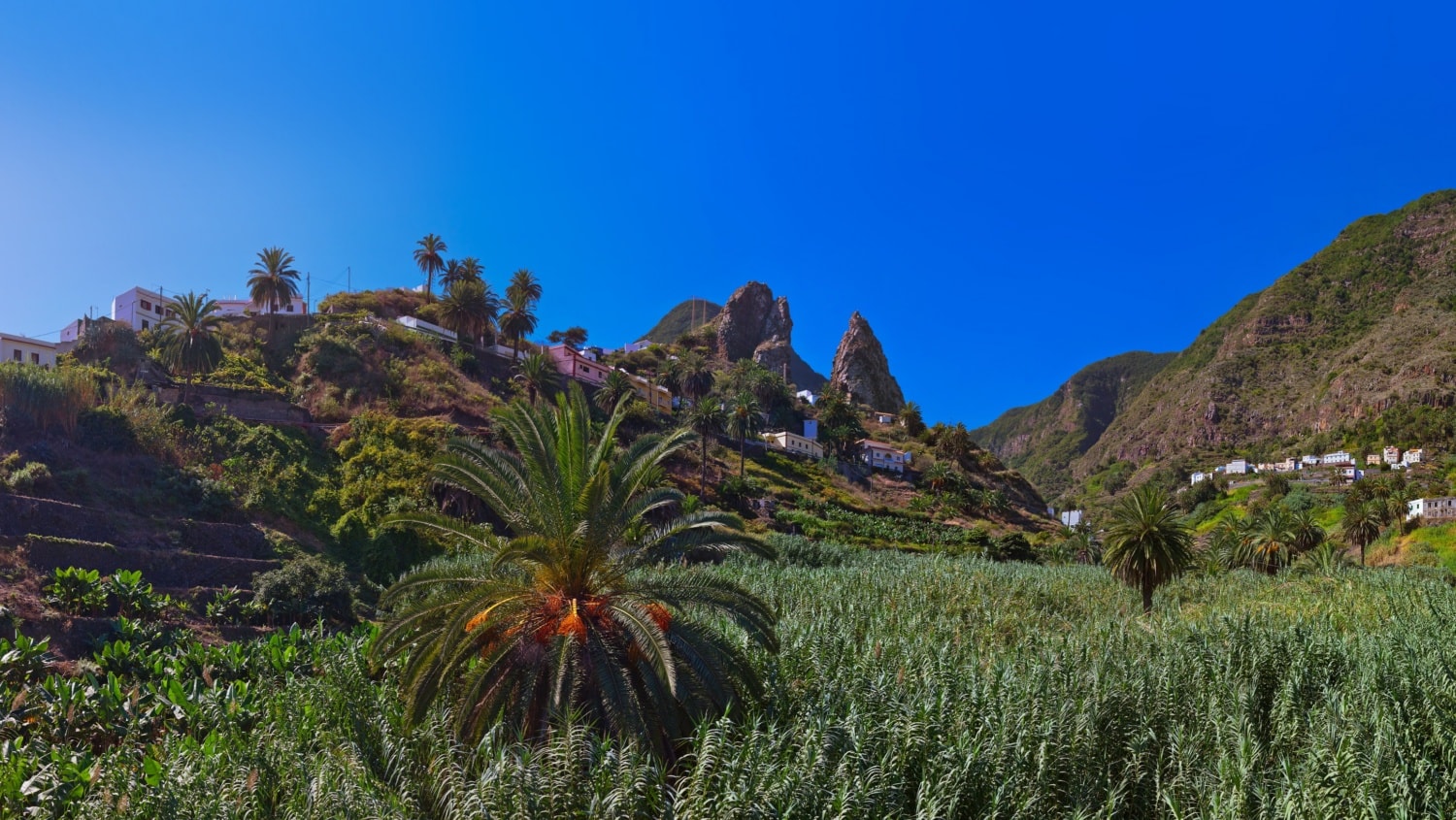 Wanderreise durch La Gomeras Norden: Vallehermoso