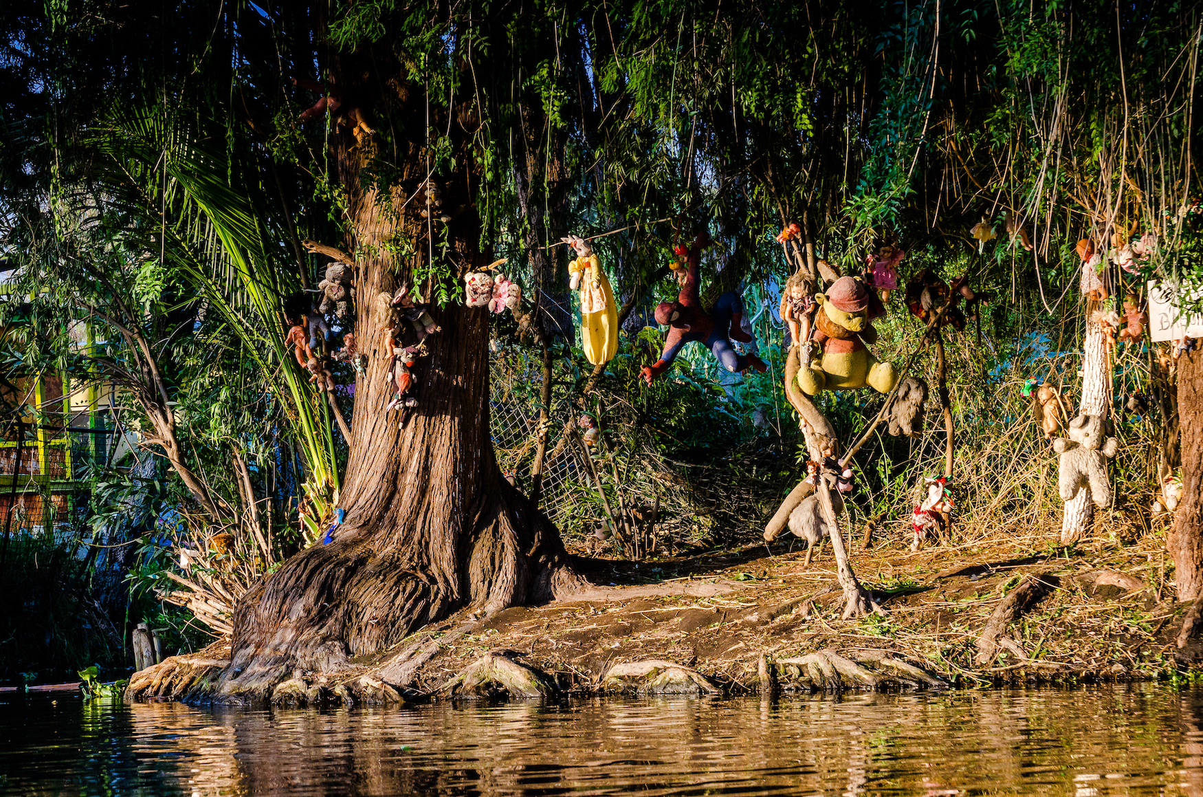 Einer der gruseligsten Orte der Welt: Die Puppeninsel im mexikanischen Xochimilco