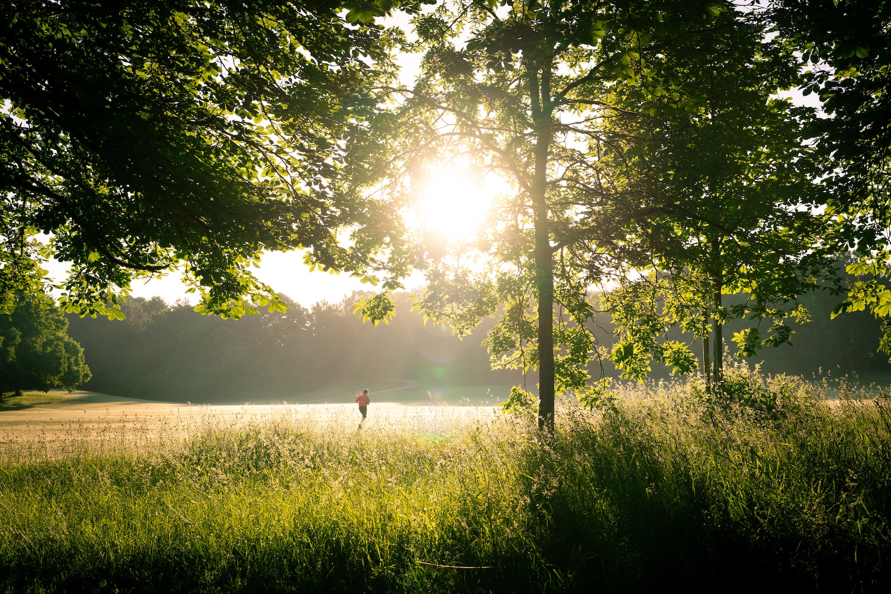 Tipps gegen die Hitze: Joggen im Wald im Schatten