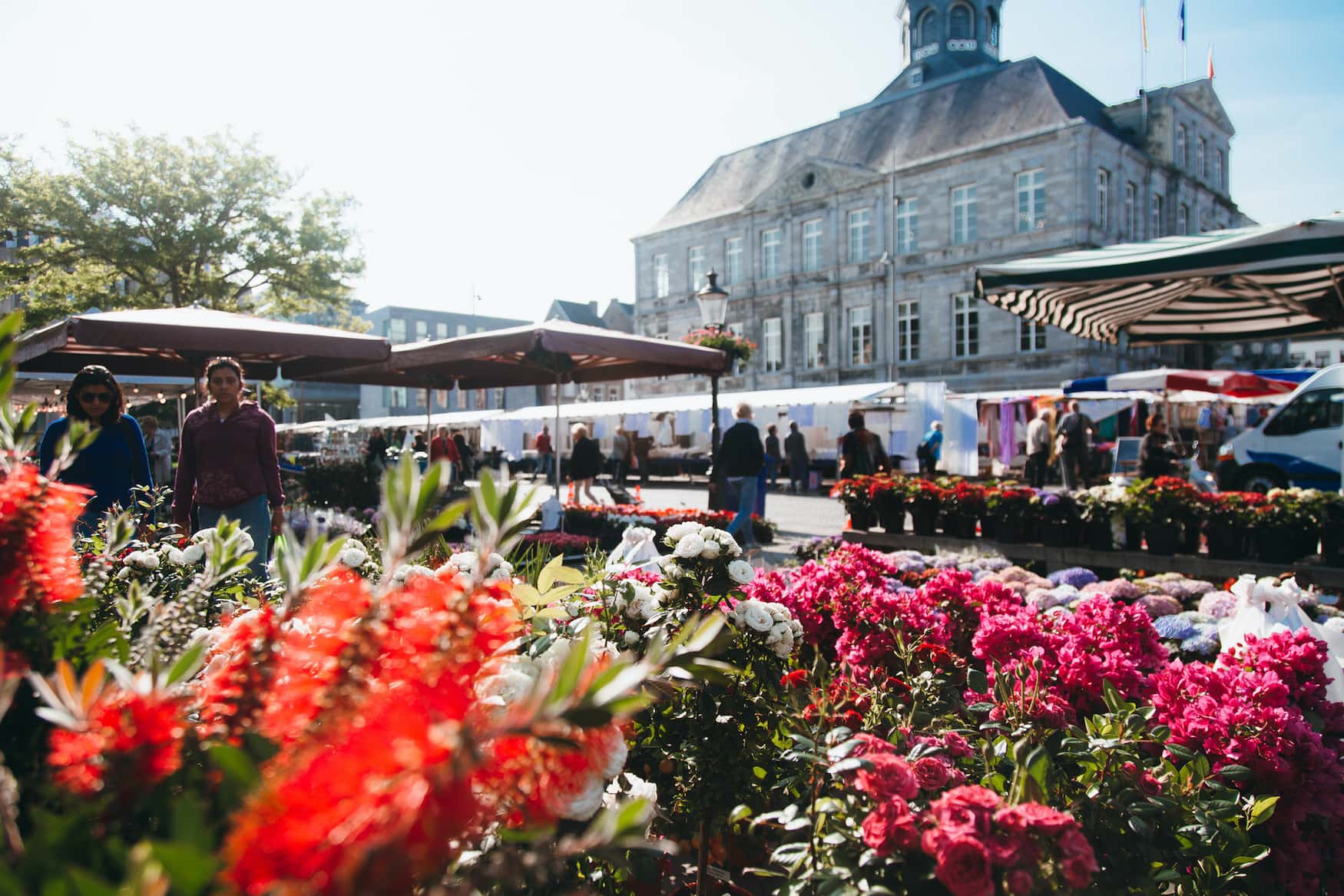 Blumen vor dem Stadthaus auf dem Marktplatz in Maastricht