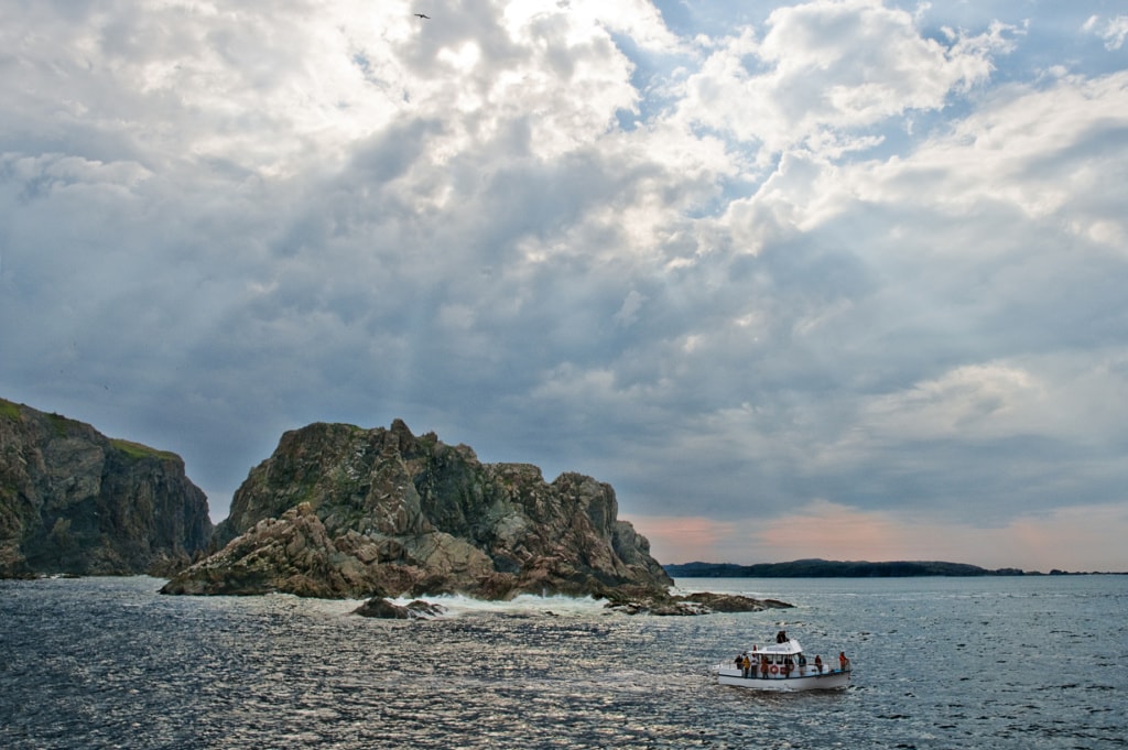 Bootstour in Twillingate